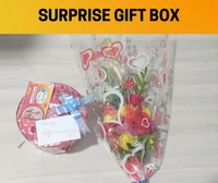 সারপ্রাইজ গিফট বাক্স  (Surprise Gift Box)